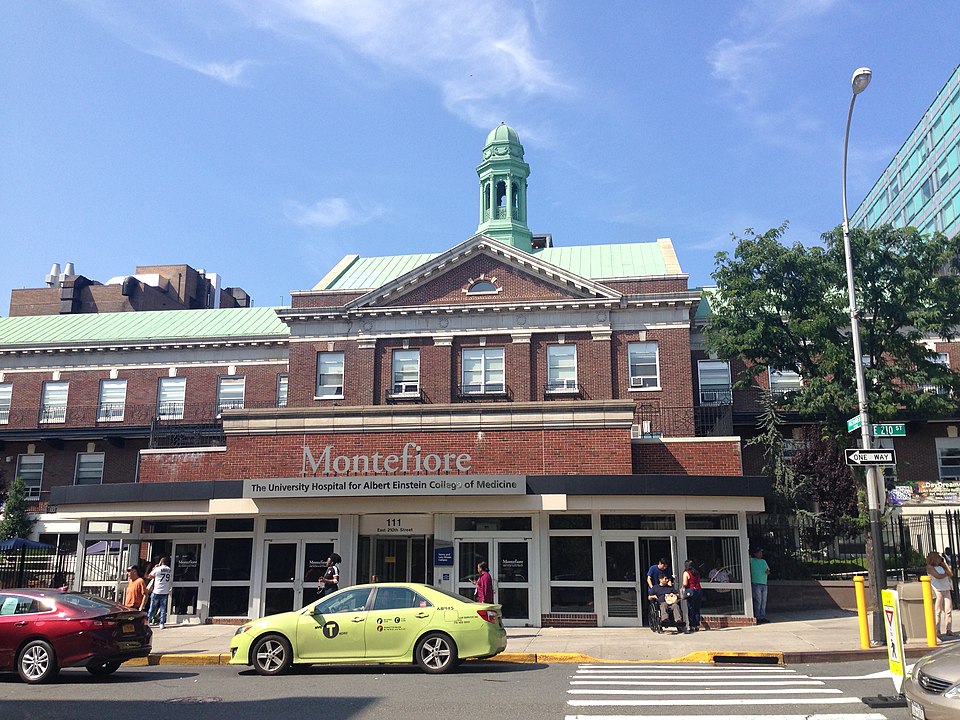 Albert Einstein College of Medicine
